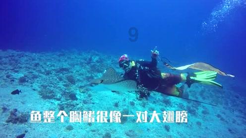 豪华轿车记忆卡